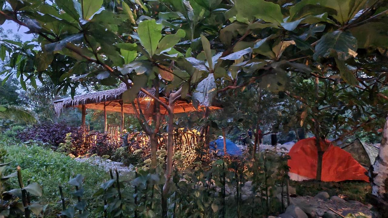 Etalauser Jungle Gate Ecoresort Bukit Lawang Exterior photo