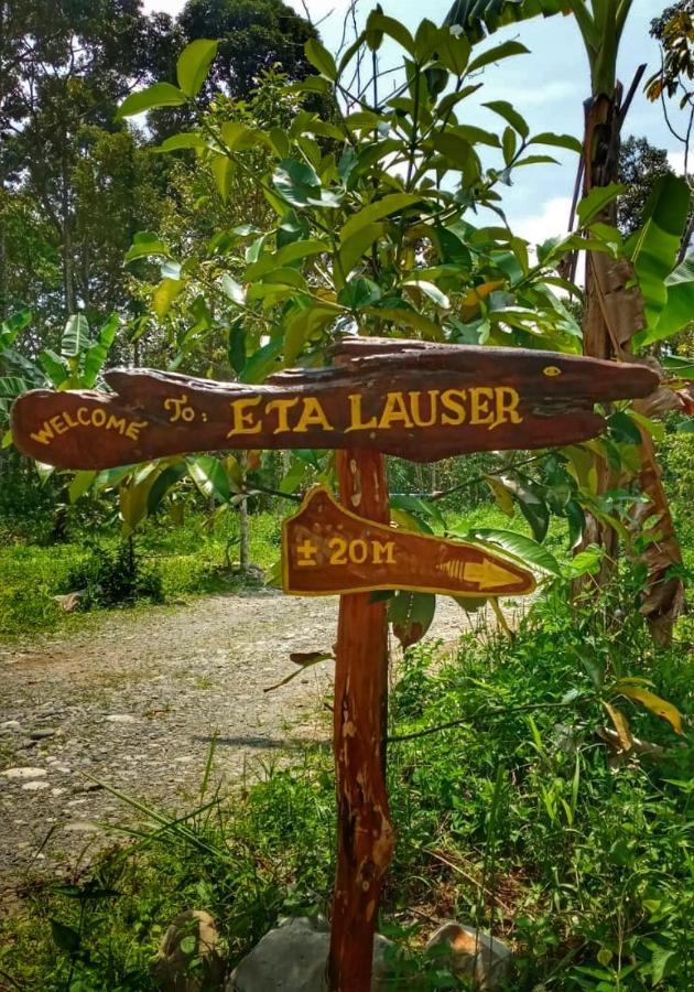 Etalauser Jungle Gate Ecoresort Bukit Lawang Exterior photo