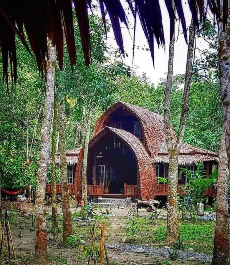 Etalauser Jungle Gate Ecoresort Bukit Lawang Exterior photo