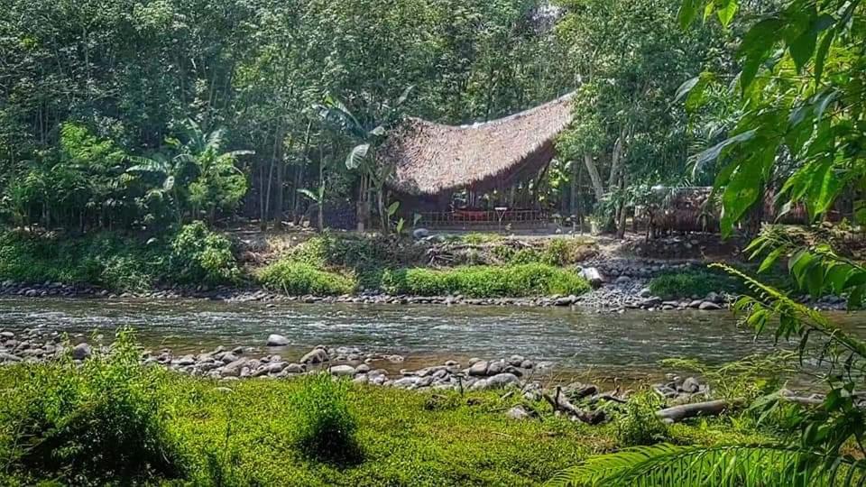 Etalauser Jungle Gate Ecoresort Bukit Lawang Exterior photo